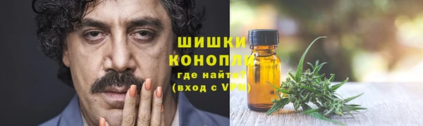 ешки Бронницы