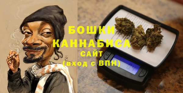ешки Бронницы
