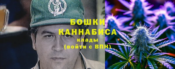 ешки Бронницы