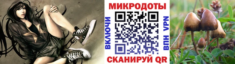 Псилоцибиновые грибы Magic Shrooms  Яблоновский 